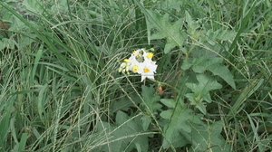 DSC00270.JPG